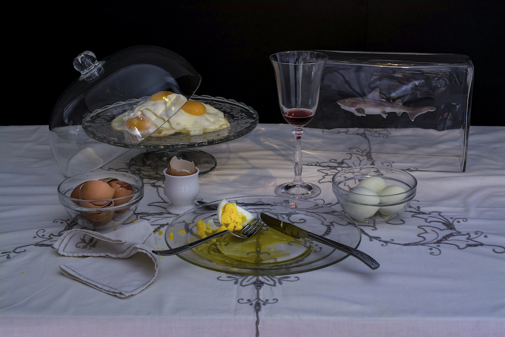 ©Dan Bannino-Charles Saatchi "Eggs Diet"